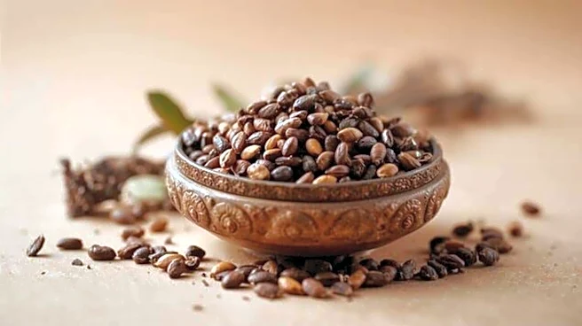 Why you should know about selim seeds
