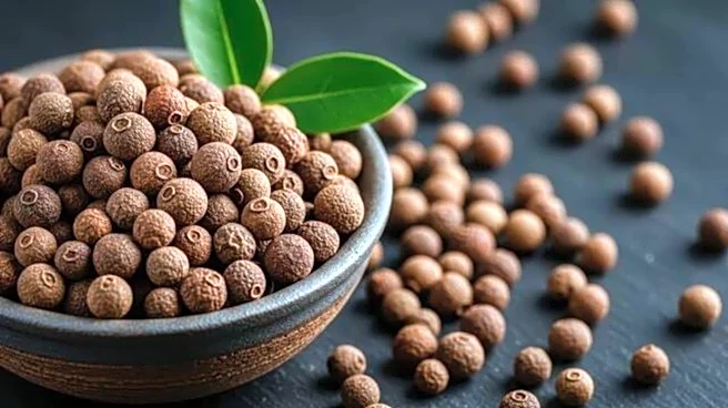 Allspice seasoning: How to make it at home