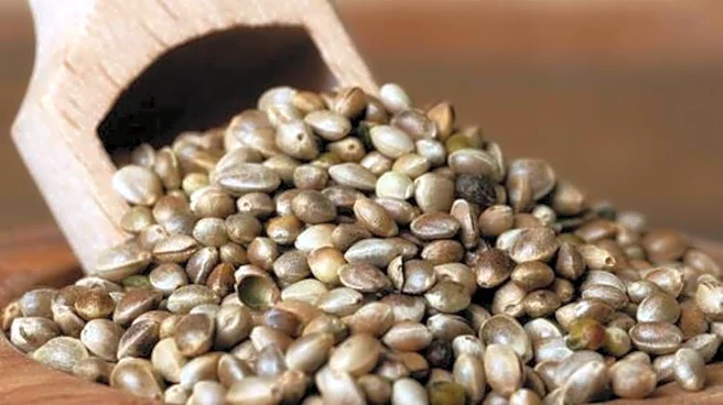 How hemp seeds can boost your protein intake