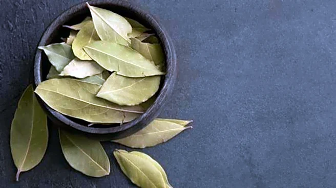 Why bay leaf is great for your joint health