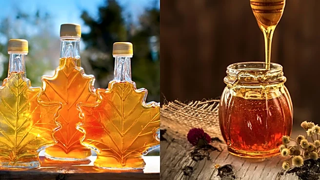 Honey v/s maple syrup: Which controls blood sugar levels better?