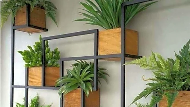 Add greenery to your home with wall plants