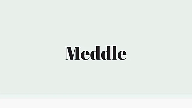 Word of the Day: Meddle