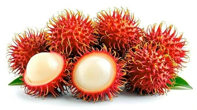 Rambutan: A superfruit worth adding to your diet