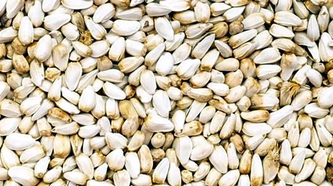 Why you should add safflower seeds to your diet