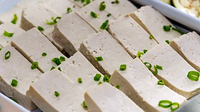 Tofu or paneer: Which is healthier for your bones?