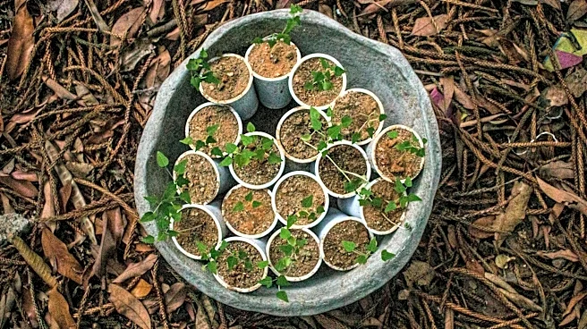 Make your own planters from recycled items