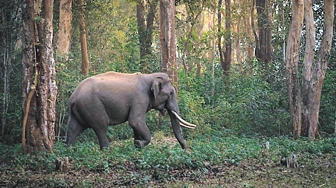 Explore Karnataka's wildlife in 5 days