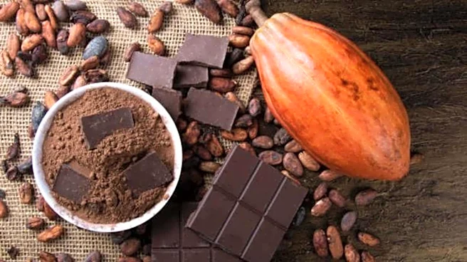 Classic recipes where cocoa steals the spotlight