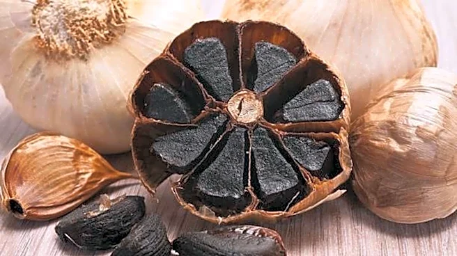 Surprising health perks of black garlic
