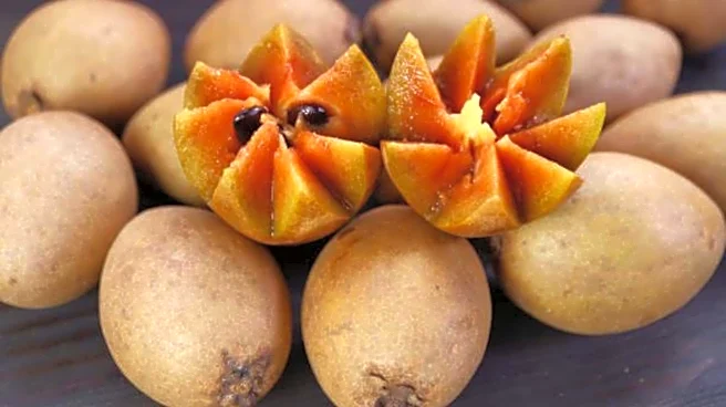 Why everyone is loving sapodilla fruit