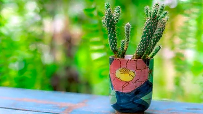 How to give your planters a stylish makeover