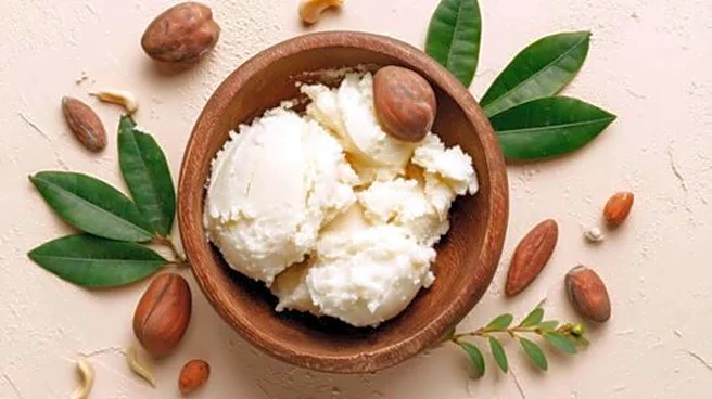 Why shea nuts are becoming a skincare essential