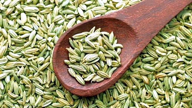 Fennel seeds: 5 recipes you'll love