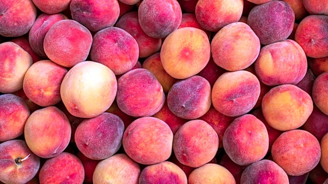 Easy homemade desserts using fresh peaches