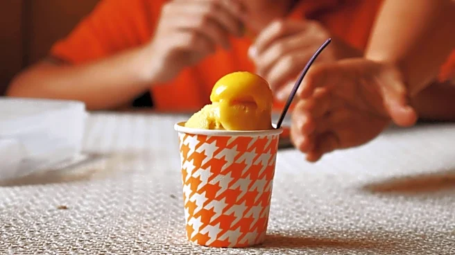 5 delicious plant-based desserts for summer parties