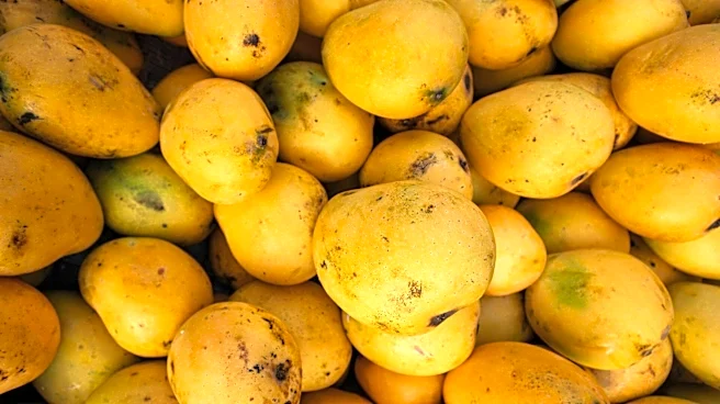 How to cook mango chickpea curry perfectly