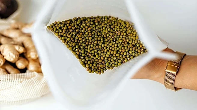 Mung beans: The superfood you should know about