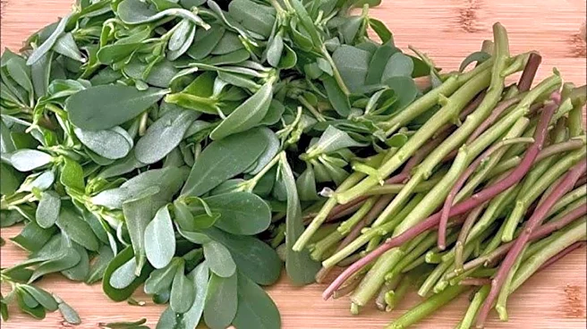 Meet your new super green: Purslane