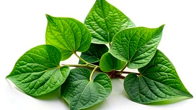 5 iconic dishes using sweet potato leaves