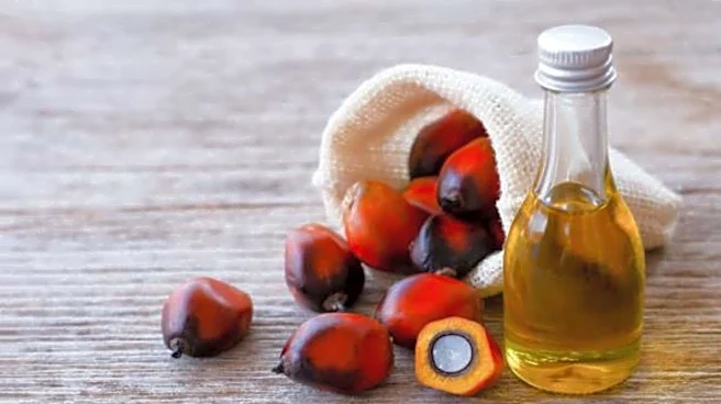 Why red palm oil is good for your heart