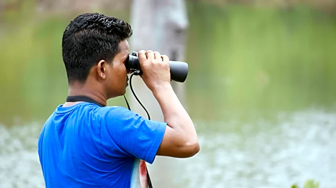How birdwatching can calm your mind