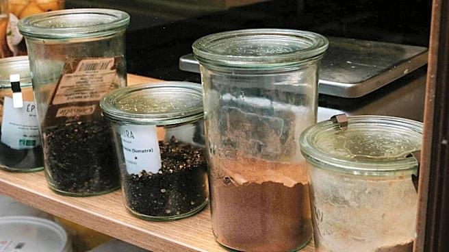 Smart ways to reuse containers in your kitchen