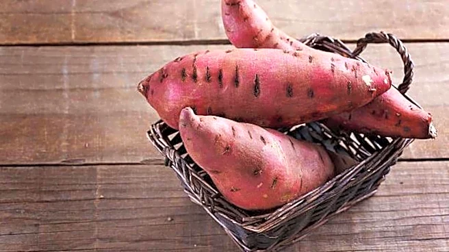 How to grow sweet potatoes at home