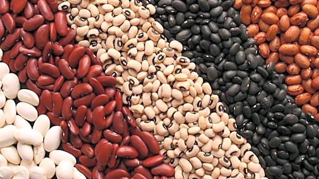 These beans can make your dishes extra nutritious