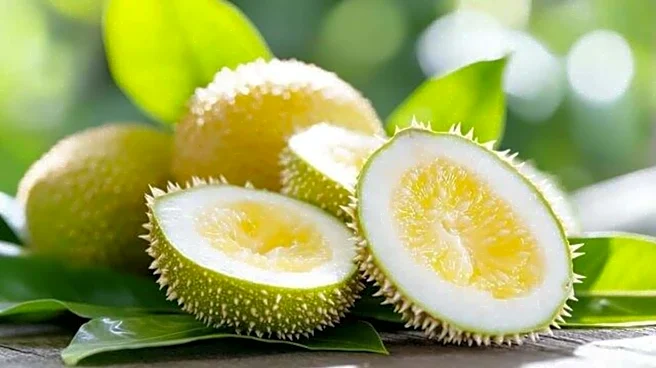 Ever tried gac fruit?