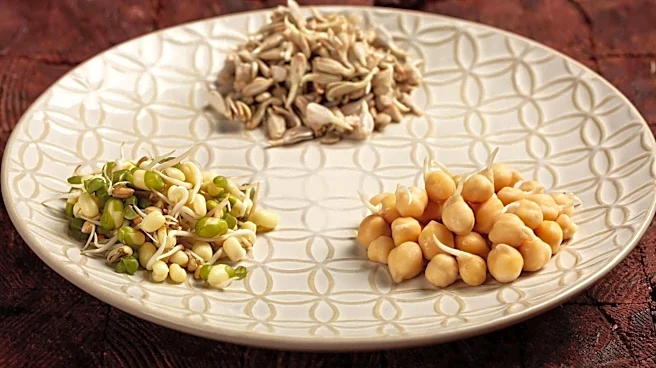 Why sprouted foods are good for your gut