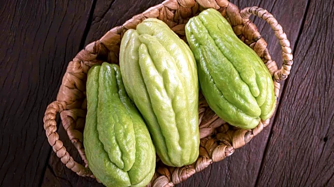 Chayote: A versatile vegetable with big benefits