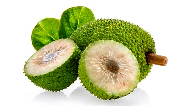Breadfruit: 5 tasty recipes using this vegetable
