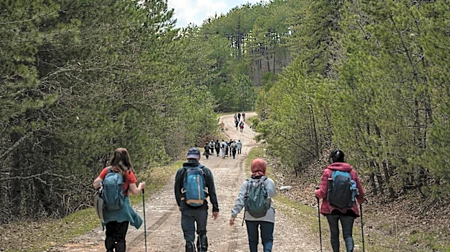 How virtual hiking makes walking more fun