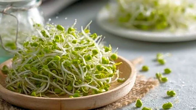 5 easy breakfast recipes using sprouted beans