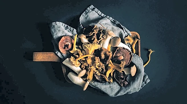 Love mushrooms? You need to try this creamy polenta dish