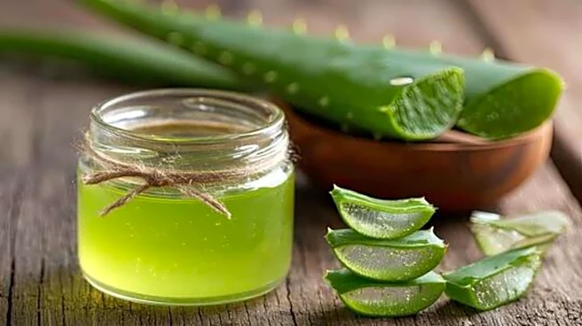 How to use aloe vera gel to score healthier hair