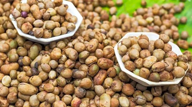 Why everyone is talking about Bambara nuts