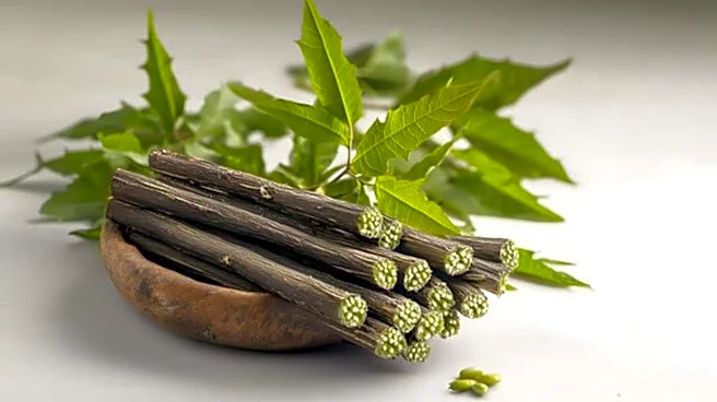Why chewsticks are linked to better oral hygiene