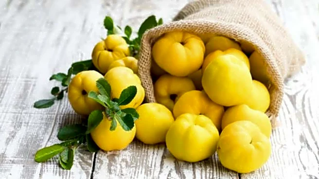 Why you should know about quince fruit