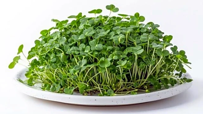 Are microgreens a really nutritional powerhouse?