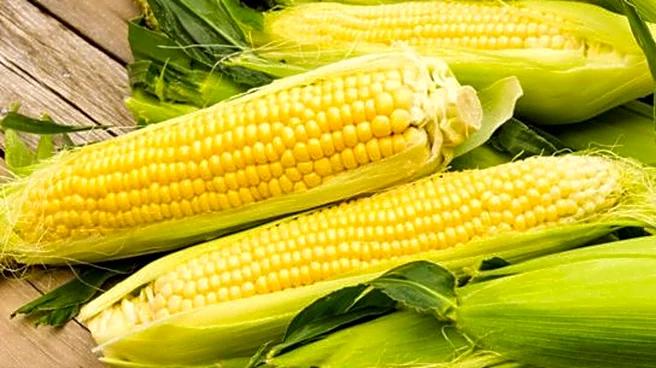Kenkey: A corn-based delicacy from West Africa