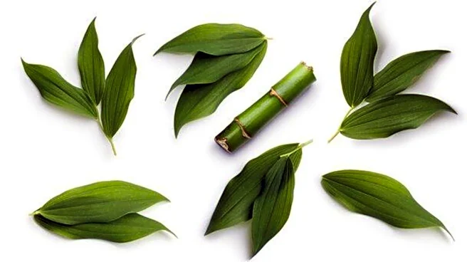 5 amazing health benefits of bamboo leaves