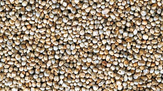 5 delicious ways to cook pearl millet