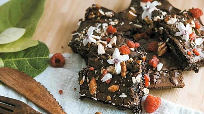 5 tasty ways to enjoy chocolate with avocado