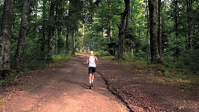 Why forest trail running is great for your health