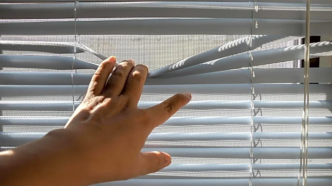 Simple ways to keep your blinds dust-free