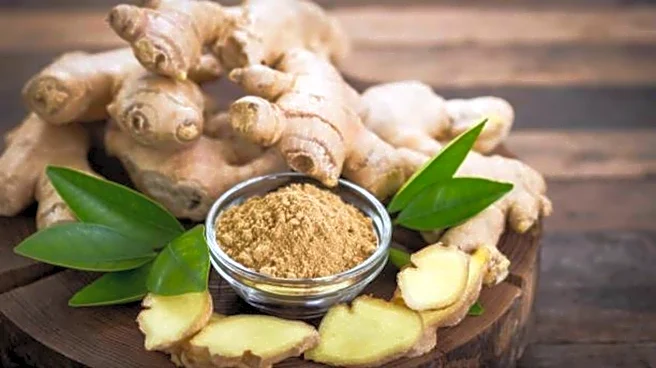 What makes ginger root extract so powerful