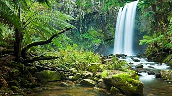 Vietnam is home to some breathtaking waterfalls!