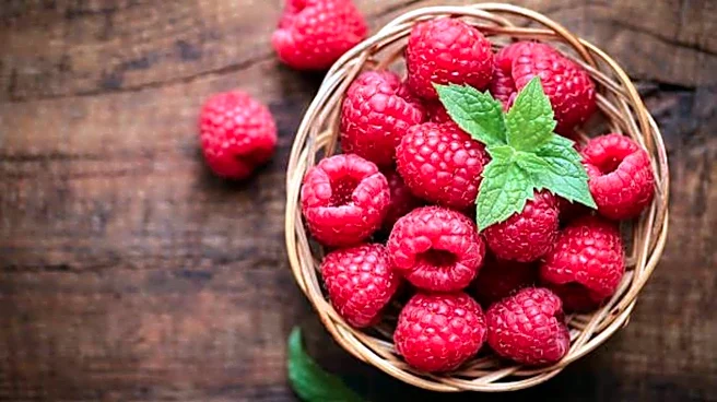 Surprising health benefits of raspberries